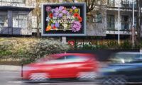 Digital Cityscreen z formatem VIDEO