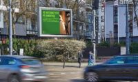 Digital Cityscreen z formatem VIDEO