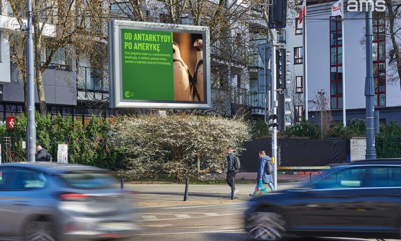 Digital Cityscreen z formatem VIDEO