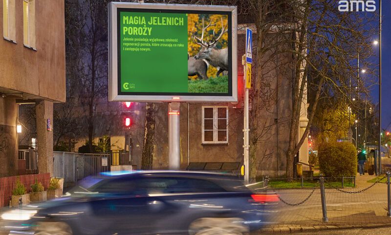 Digital Cityscreen z formatem VIDEO